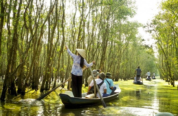 Сказочное мгновение в мангровом лесу Чашы - ảnh 3